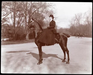 Retrato, de, senhorita, praia, posado, ligado, um, cavalo, ligado, a, breio, caminho, em, parque central, 1898, (silver, gelatin, print)